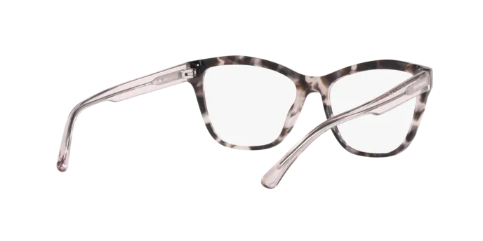 Emporio Armani EA3193 5410