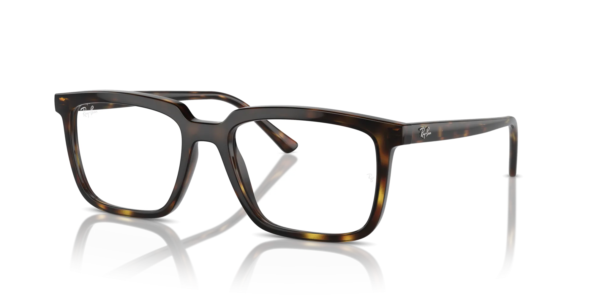 Ray-Ban Alain RX7239 2012