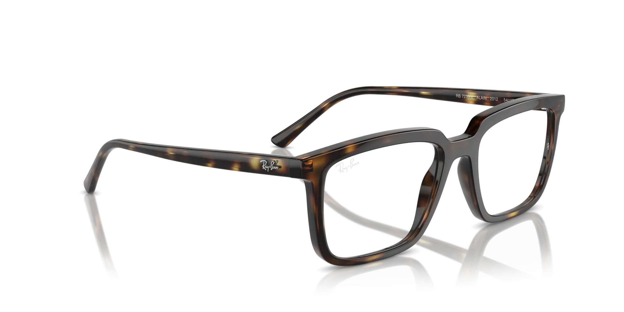 Ray-Ban Alain RX7239 2012