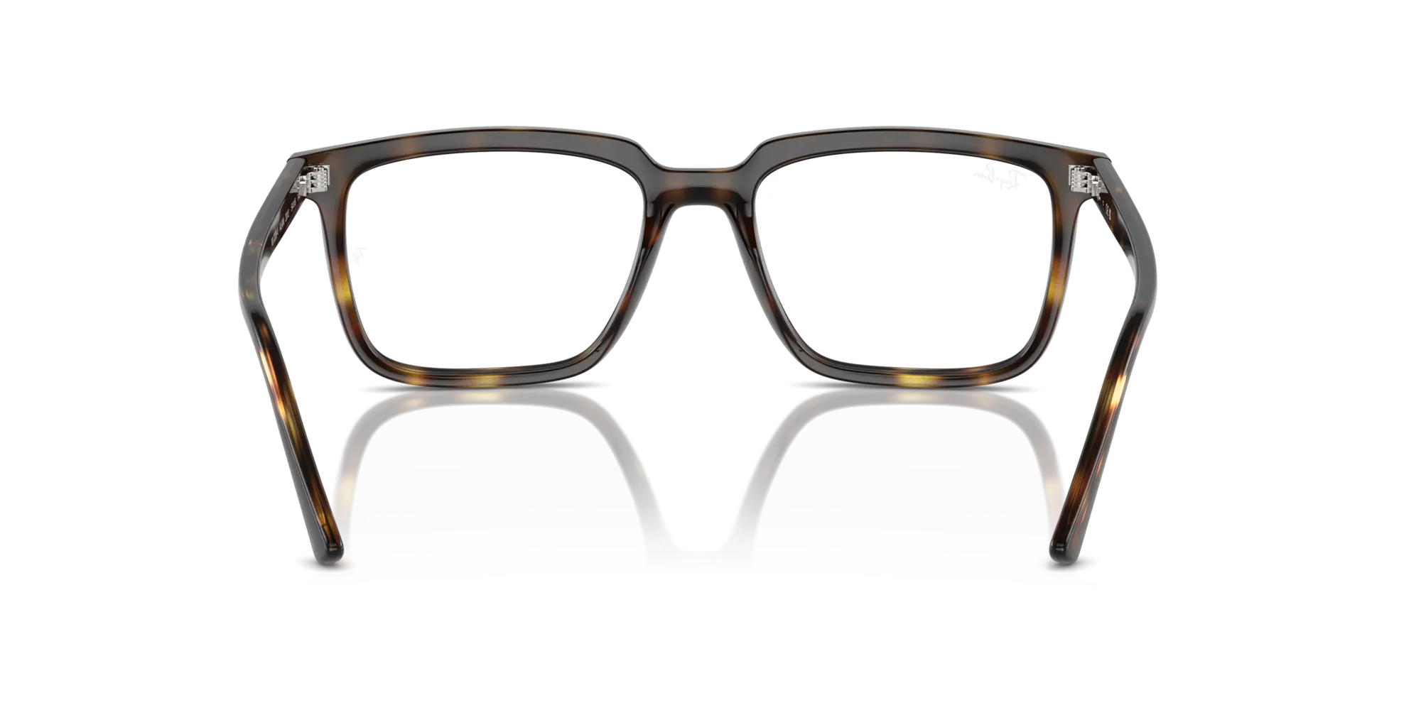 Ray-Ban Alain RX7239 2012
