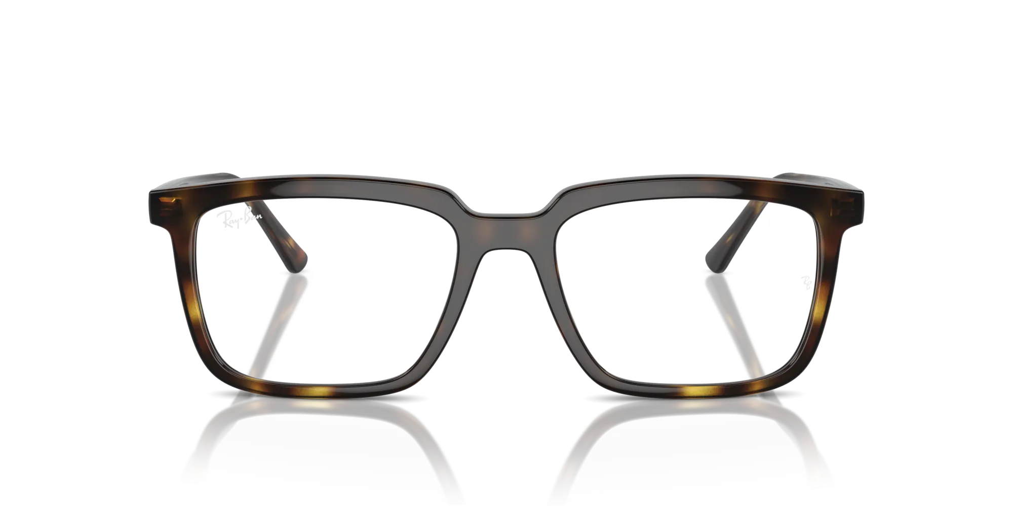 Ray-Ban Alain RX7239 2012