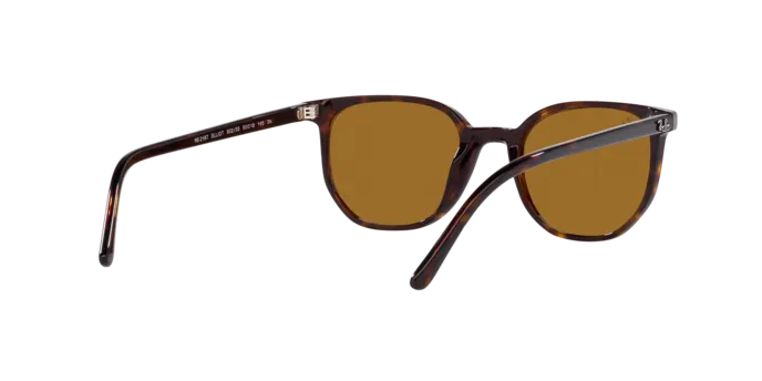 Ray-Ban Elliot RB2197 902/33