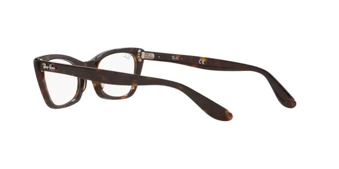 Ray-Ban Lady Burbank RX5499 2012