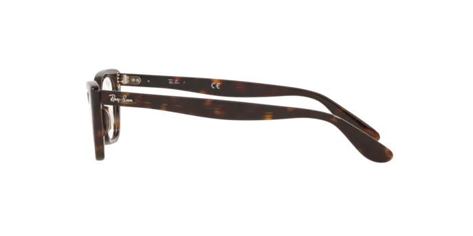 Ray-Ban Lady Burbank RX5499 2012