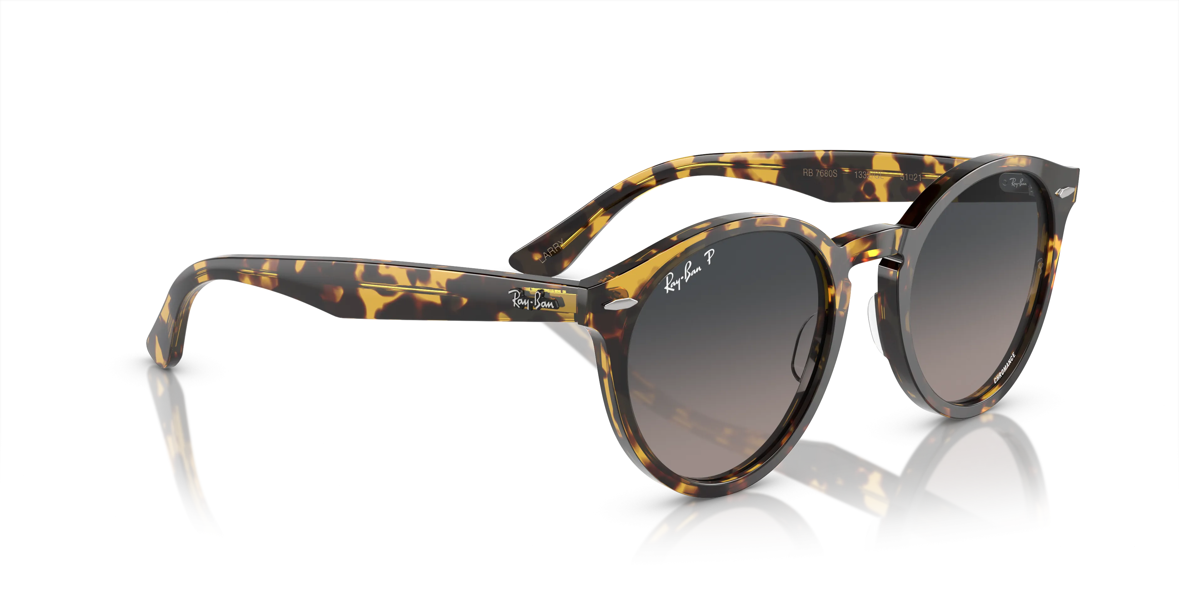 Ray-Ban Larry RB7680S 1332GL