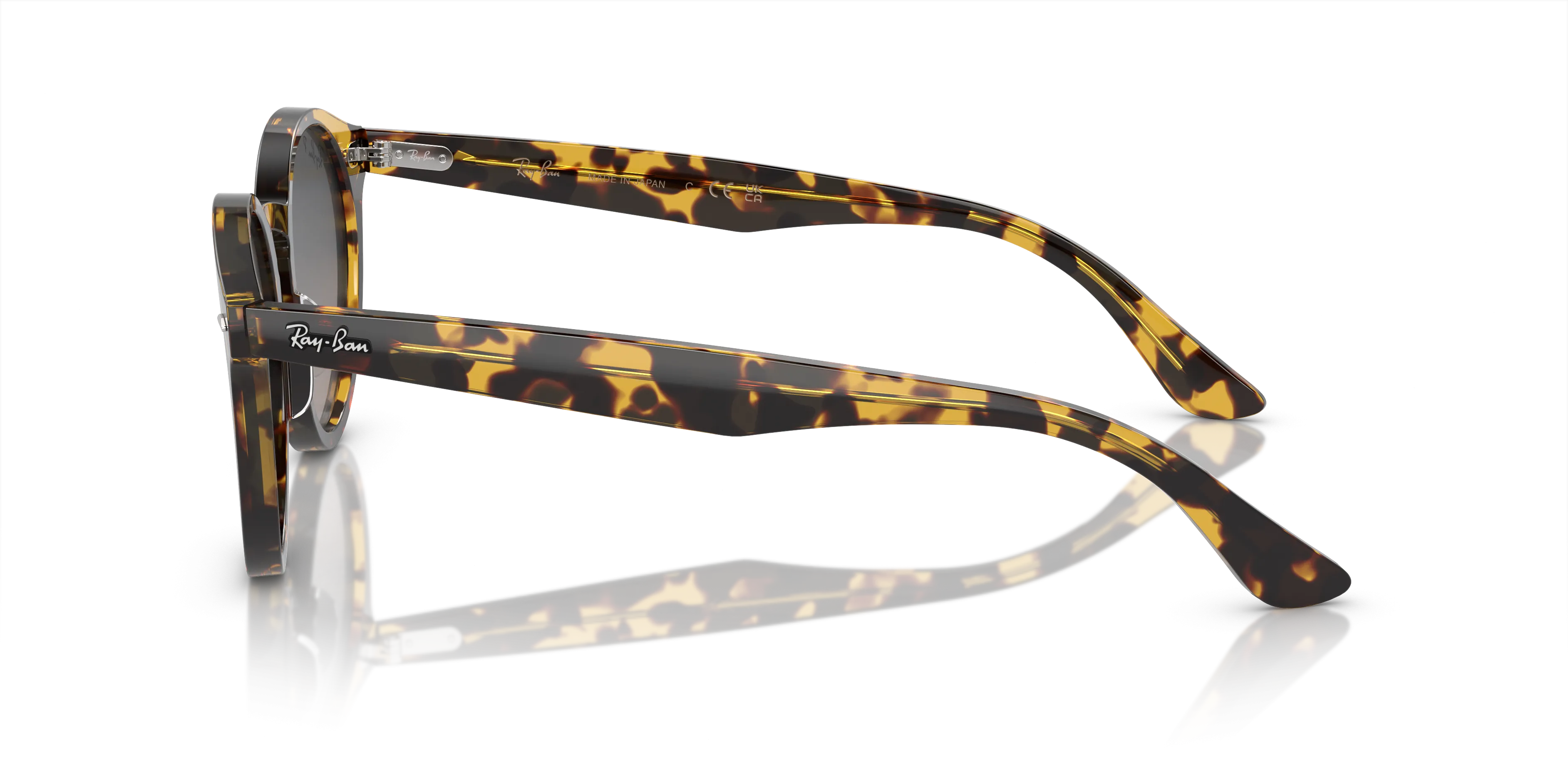 Ray-Ban Larry RB7680S 1332GL