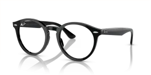 Ray-Ban Larry RX7680V 2000
