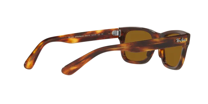 Ray-Ban Mr Burbank RB2283 954/33