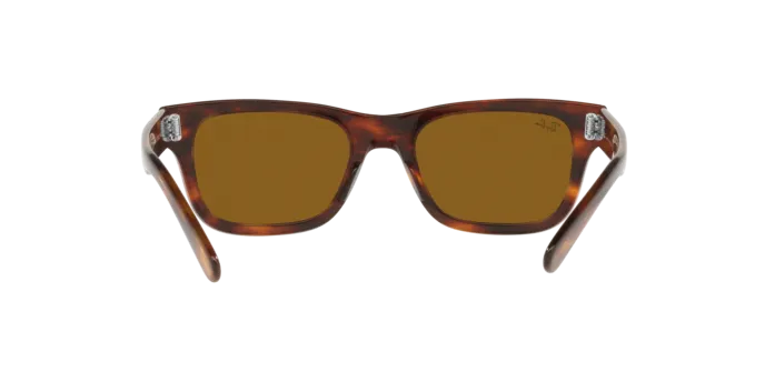 Ray-Ban Mr Burbank RB2283 954/33