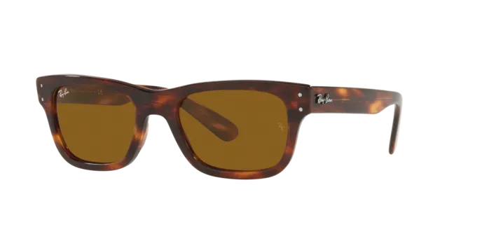 Ray-Ban Mr Burbank RB2283 954/33