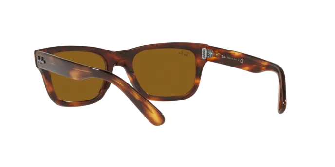 Ray-Ban Mr Burbank RB2283 954/33