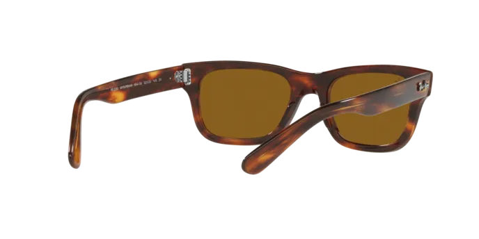Ray-Ban Mr Burbank RB2283 954/33