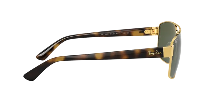 Ray-Ban RB3663 001/31