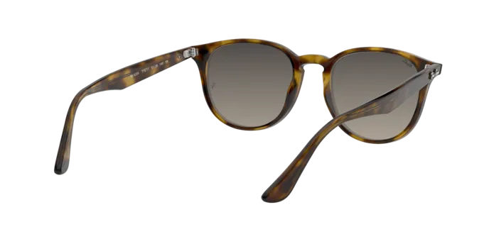Ray-Ban RB4259 710/11