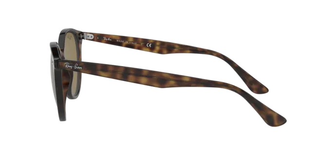 Ray-Ban RB4305 710/73