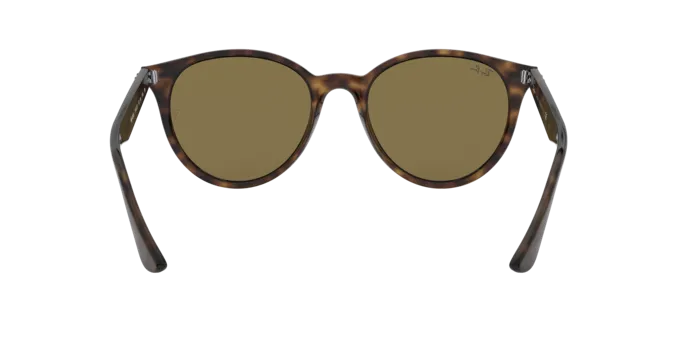 Ray-Ban RB4305 710/73