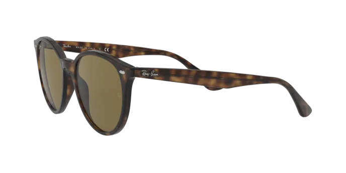 Ray-Ban RB4305 710/73