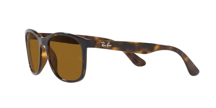 Ray-Ban RB4374 710/33
