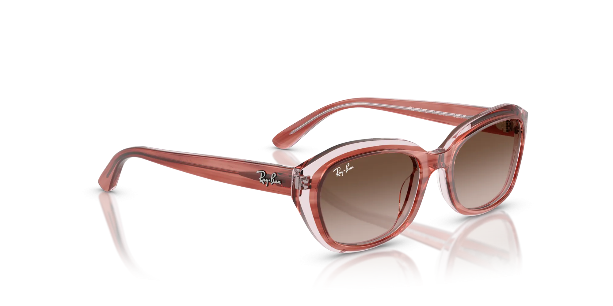 Ray-Ban RJ9081S 717313