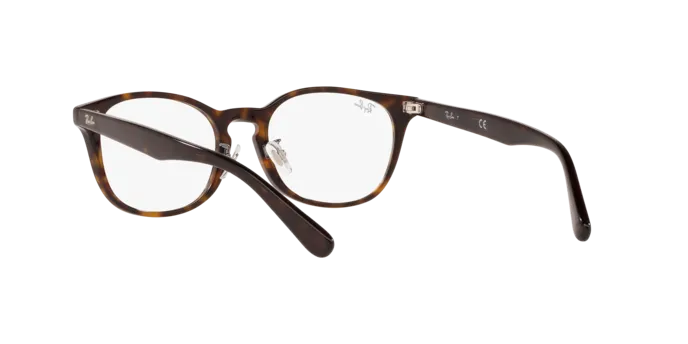 Ray-Ban RX5386D 2012