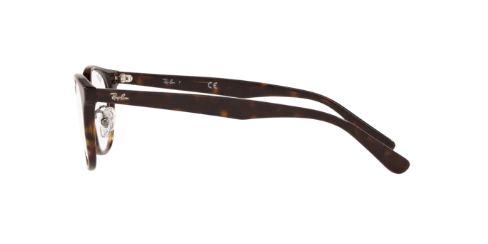 Ray-Ban RX5386D 2012