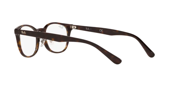 Ray-Ban RX5386D 2012
