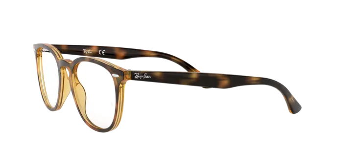 Ray-Ban RX7159 2012