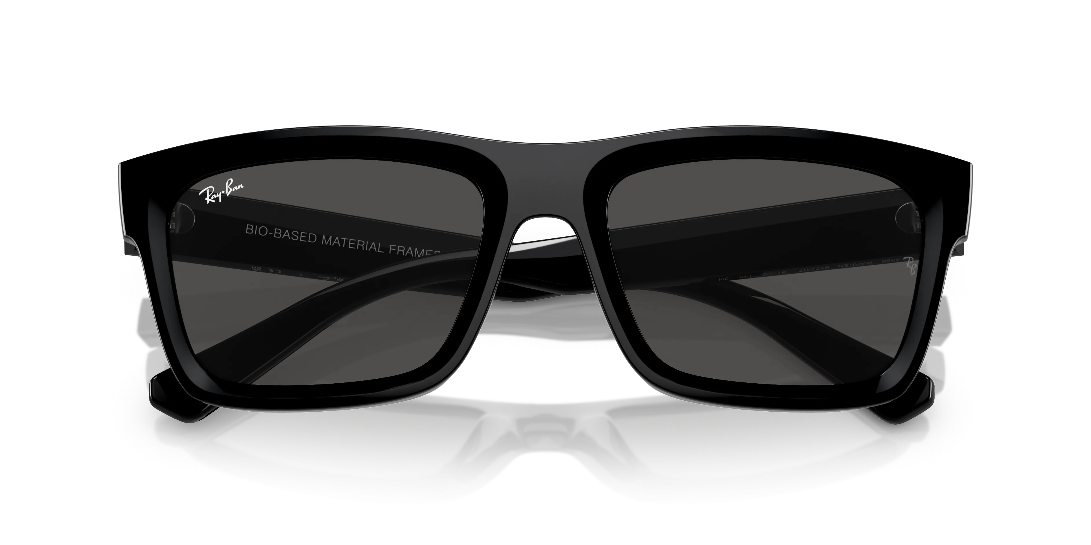 Ray-Ban Warren RB4396 667787