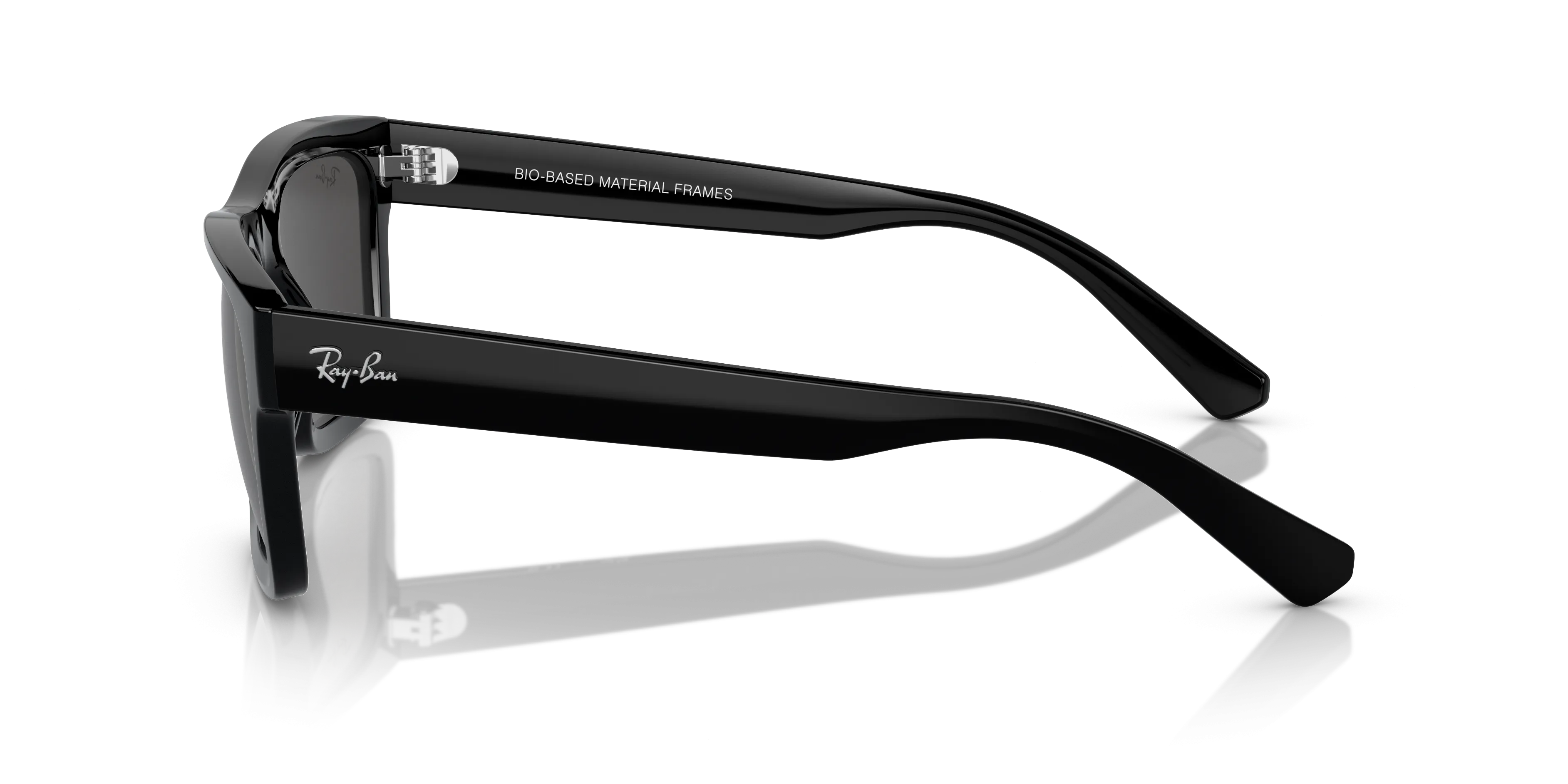 Ray-Ban Warren RB4396 667787