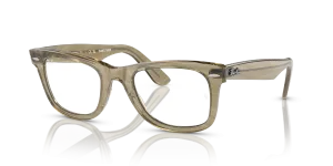 Ray-Ban Wayfarer RB2140 1387GG
