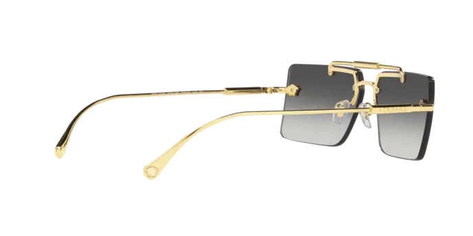 Versace VE2245 10028G